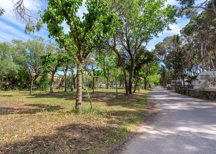 Forest & Oslo בית נופש *