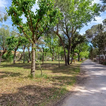 Forest Vakantiehuis *